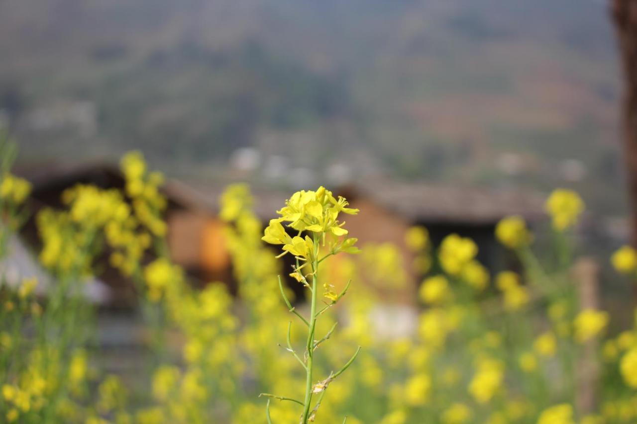 S Plus Bungalow Sapa Exterior foto